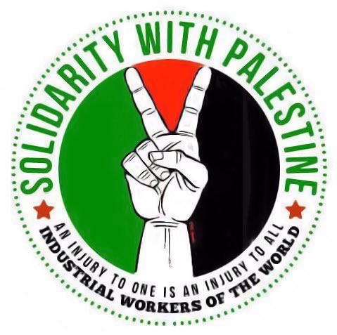 Image reads "Solidarity with Palestine" and shows someone holding up a peace sign against a background of green, red, and black to represent the Palestinian flag.